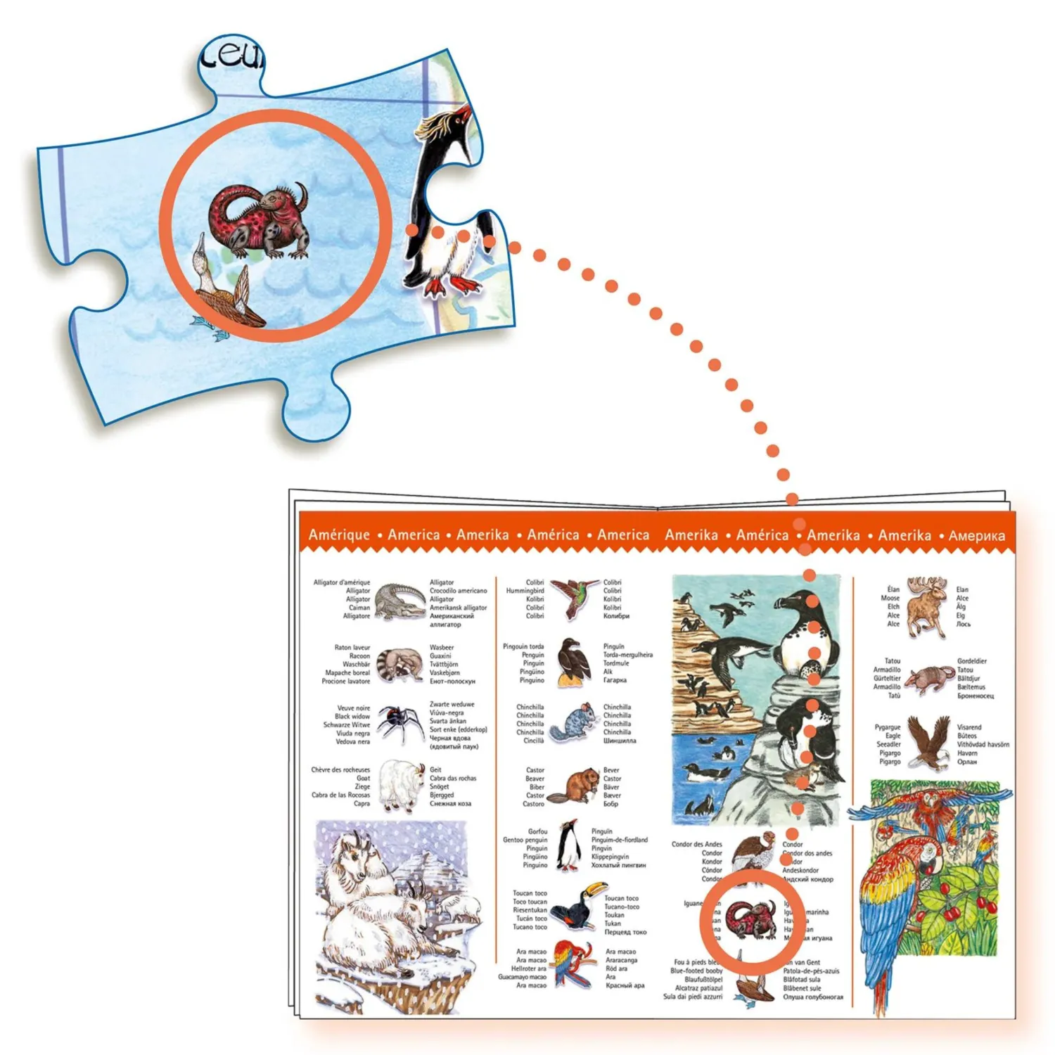 Djeco Face Masks> Observation World'S Animals 100-Piece Puzzle And Booklet