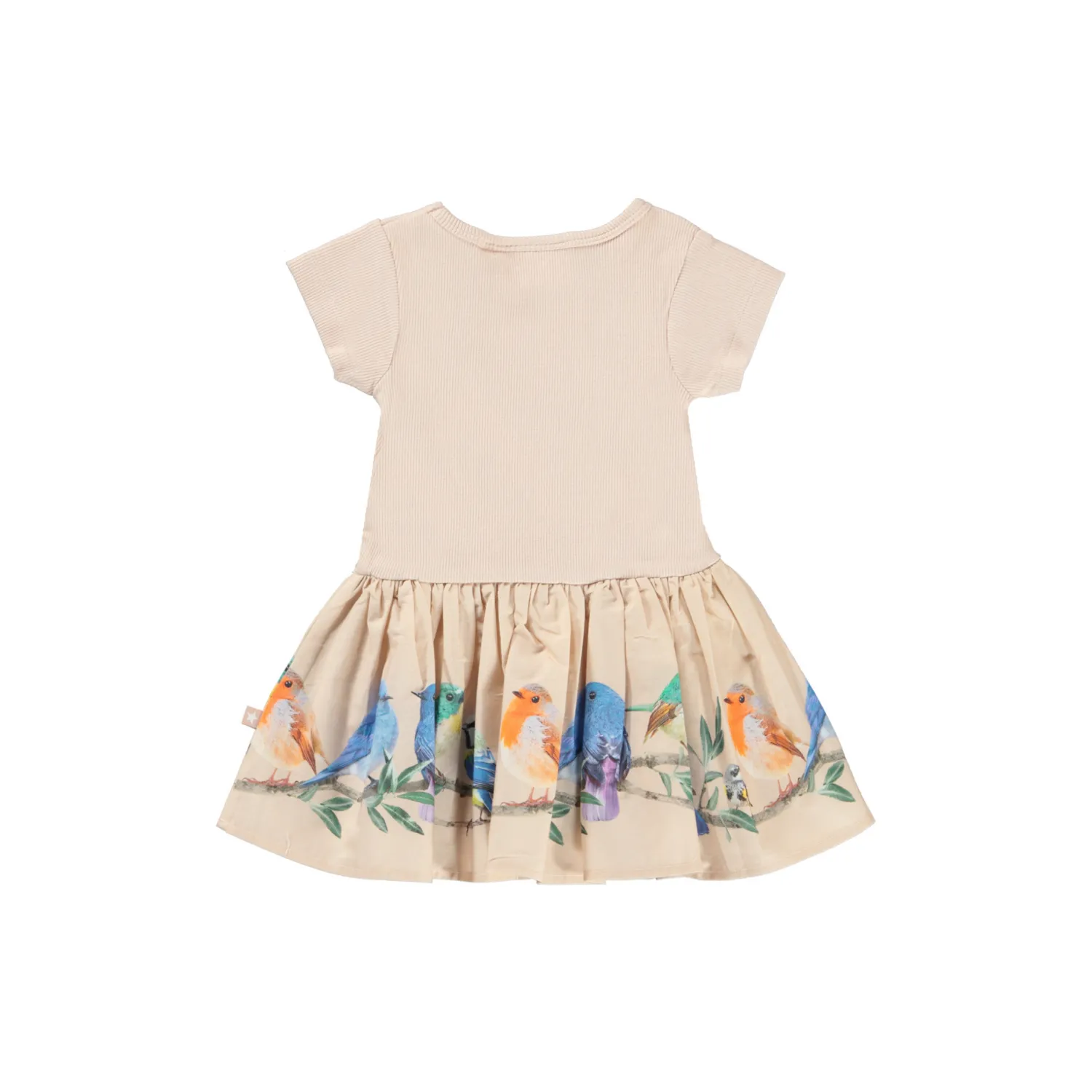 Molo Kids Dresses> Carin Birds On A Twig Organic Baby Dress