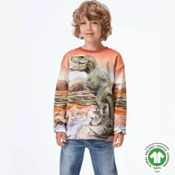 Molo Kids Sweatshirts> Dino Landscape Mountoo Sweatshirt