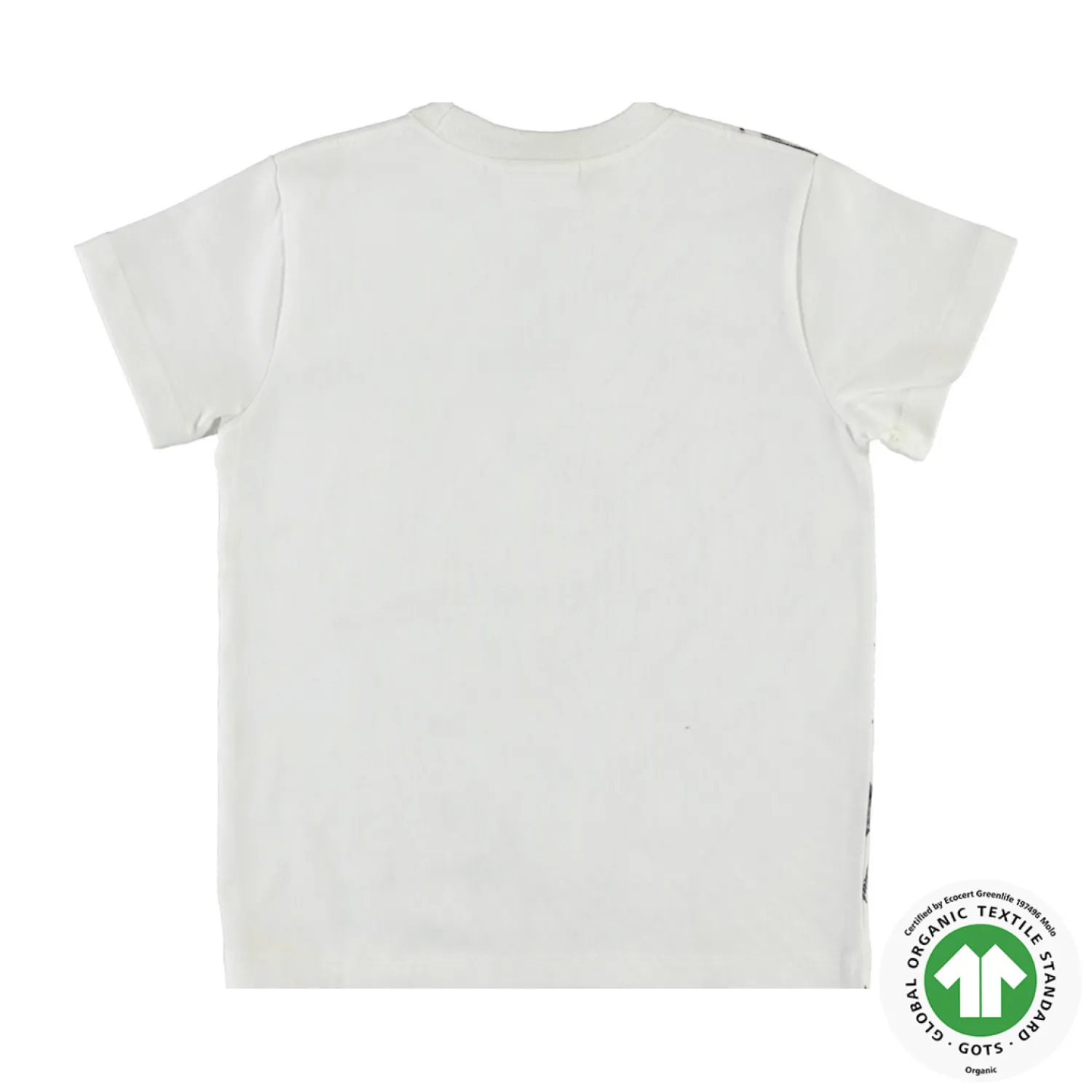 Molo Kids T Shirts> Road Action Organic Cotton T Shirt