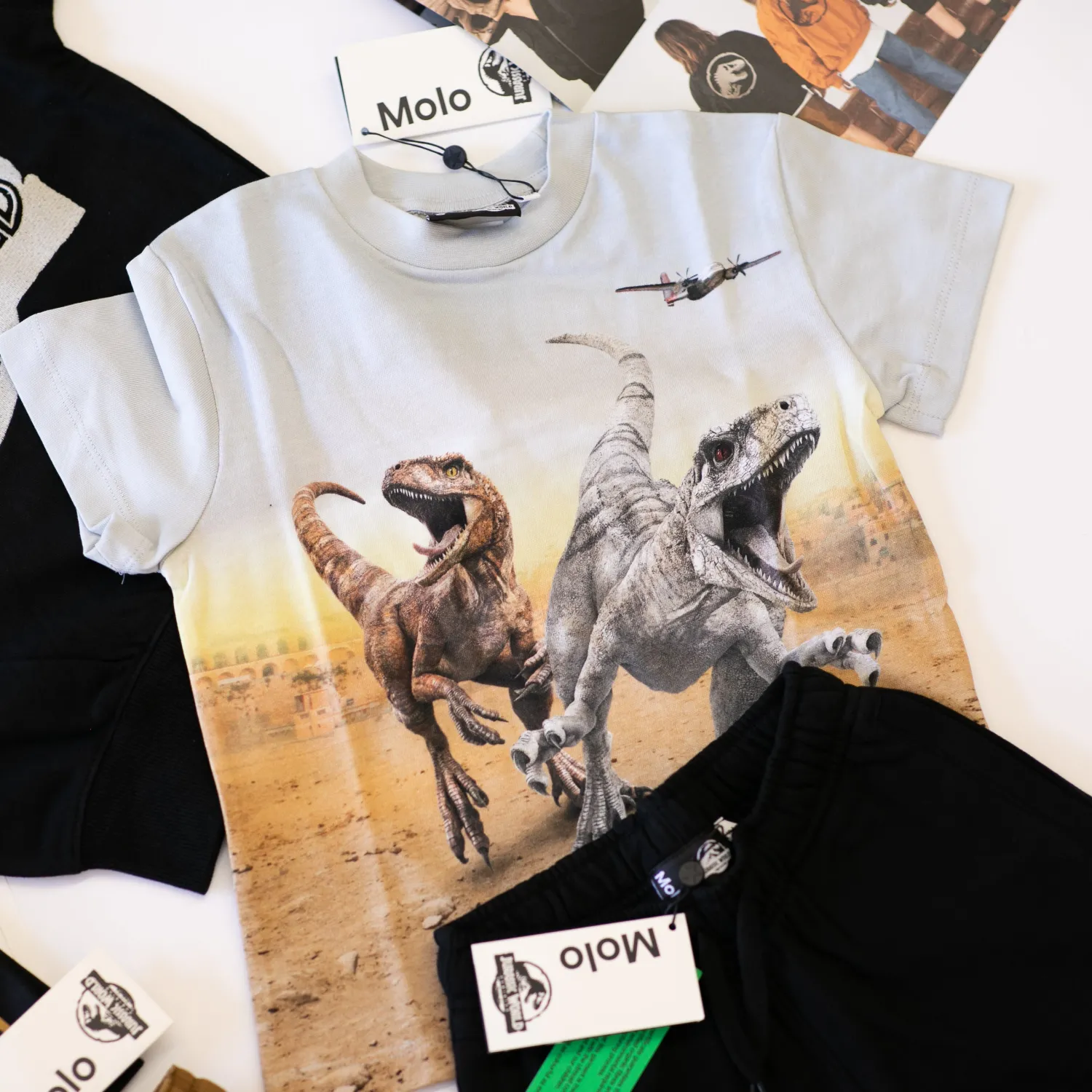 Molo Kids T Shirts>Molo X Jurassic World Kids Roxo Dinos Galore T Shirt