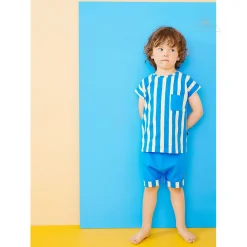 Papu Stories Long Sleeve T Shirts> Organic Pocket Blue Stripes T Shirt