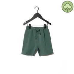 Sometime Soon Shorts> Alvin Shorts Green