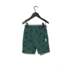 Sometime Soon Shorts> Willow Shorts Green