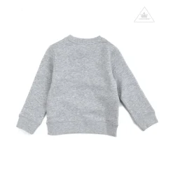 Stella McCarney Kids Sweatshirts>Stella Mccartney Kids Boy Big Space Shuttle Sweatshirt Grey